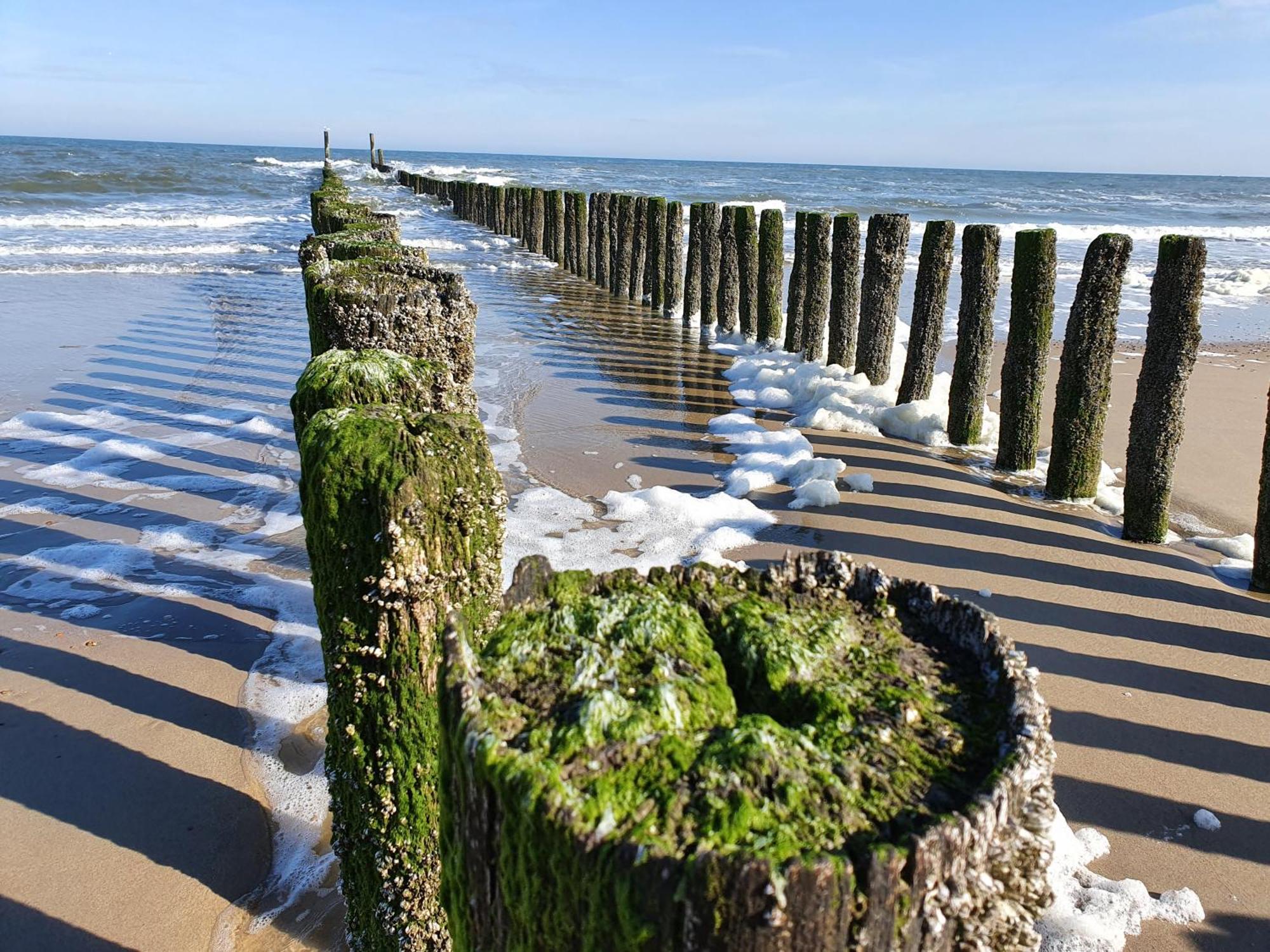 Studio Aan Zee Oostkapelle Rom bilde