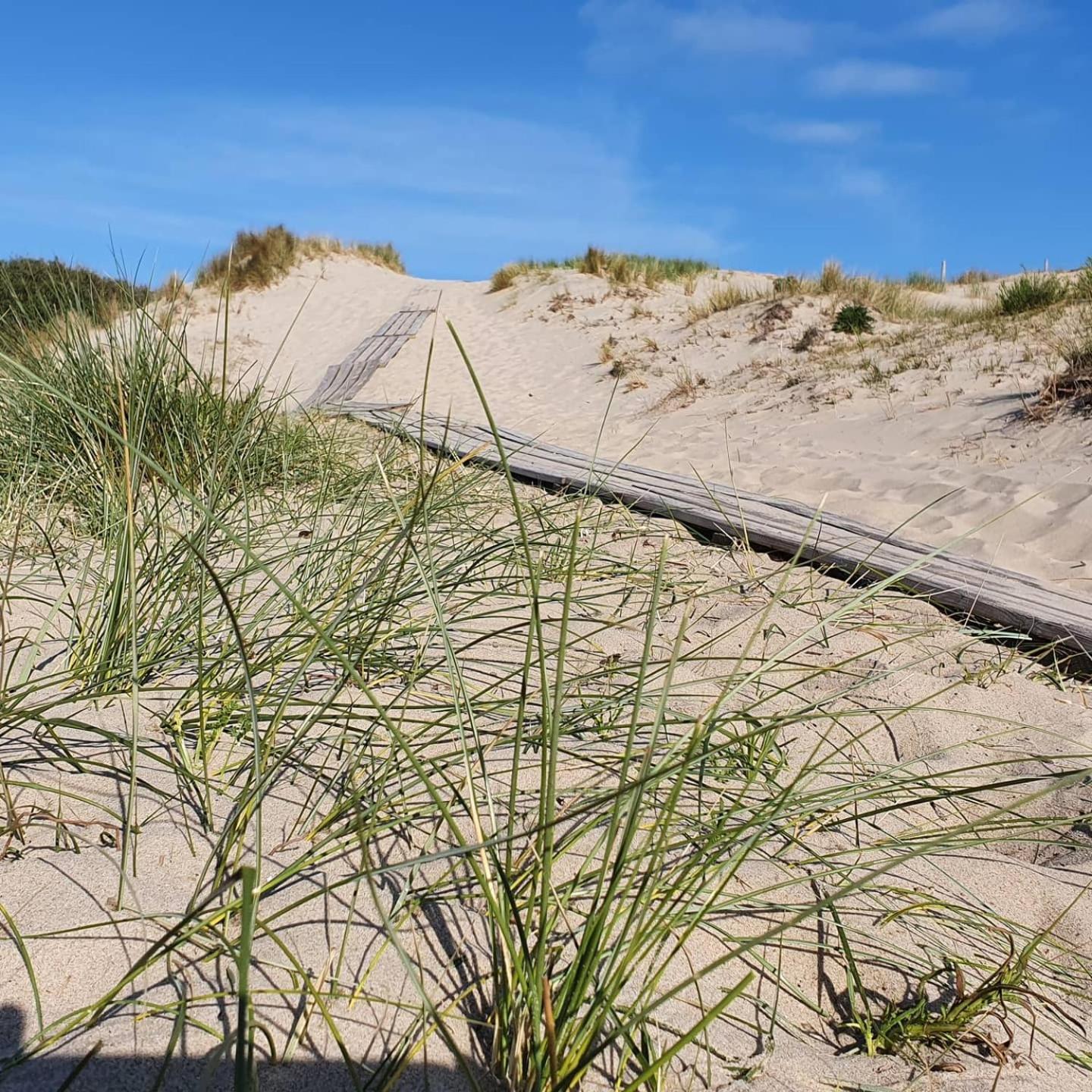 Studio Aan Zee Oostkapelle Rom bilde